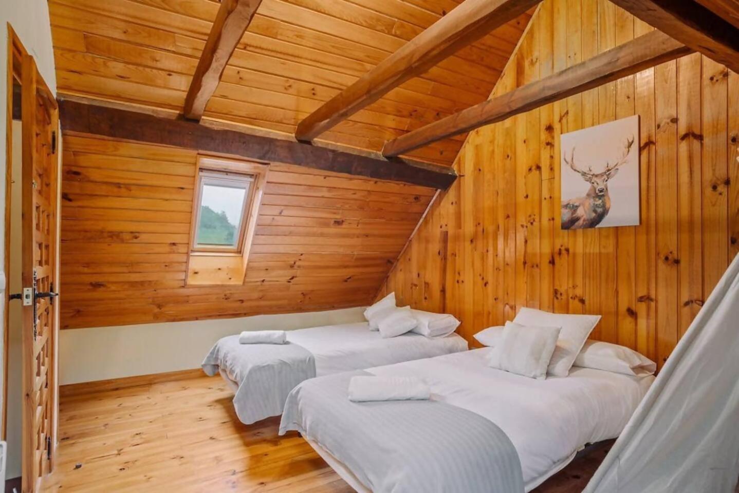 Casa Rural Arix Sallent de Gállego Dış mekan fotoğraf